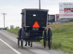 Amish buggy